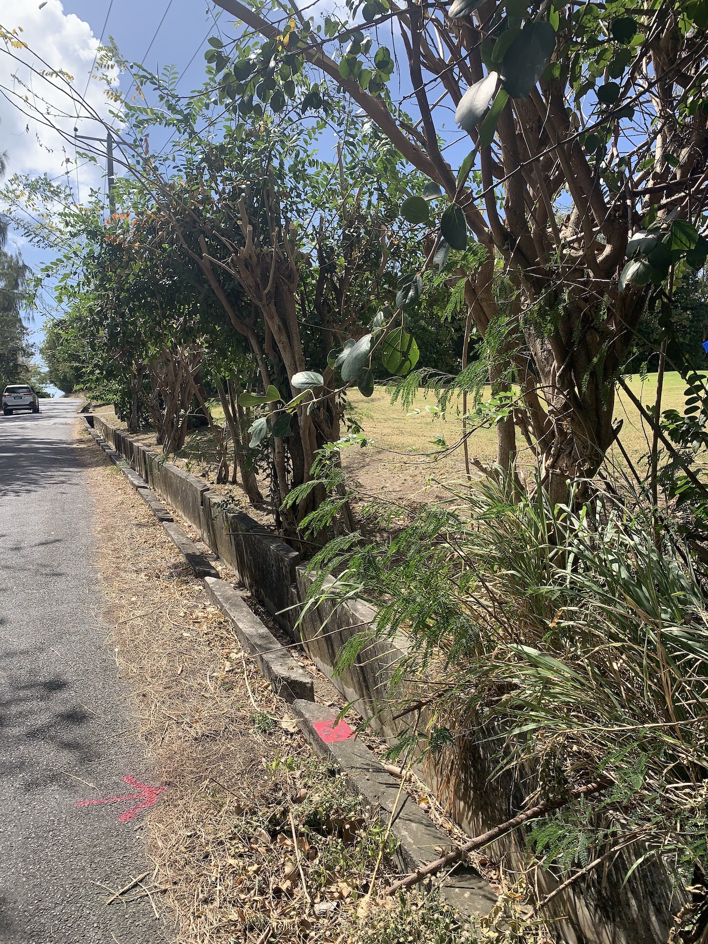 Almost 7 acres of land in Cap Estate for sale