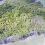 Almost 7 acres of Prime land in Cap Estate for sale