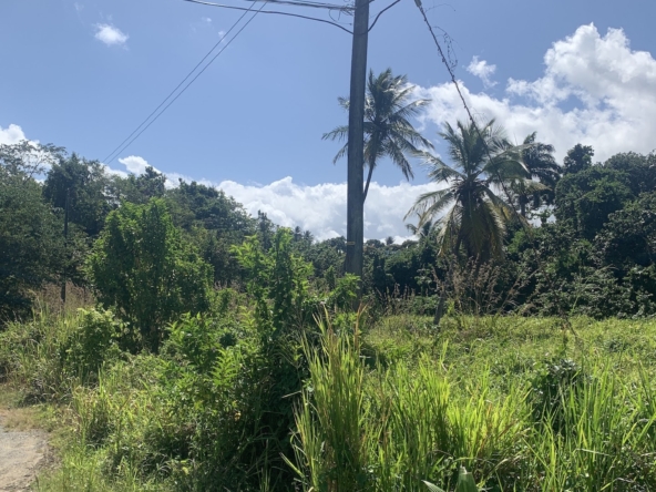Land for Sale in Millennium Heights, Castries