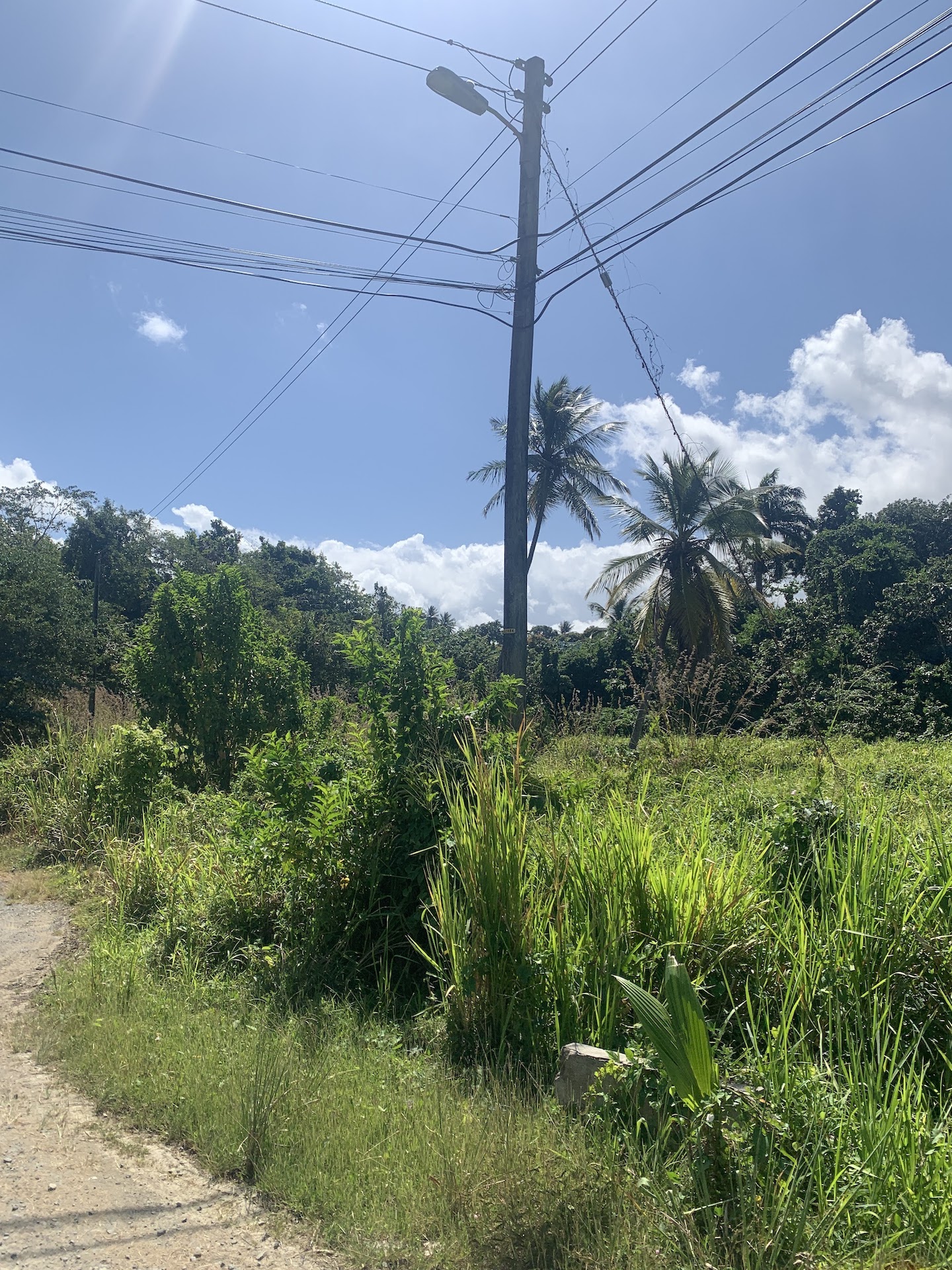 Land for Sale in Millennium Heights, Castries Land for Sale in Millennium Heights, Castries