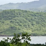 Ocean view Land for Sale in Cap Estate