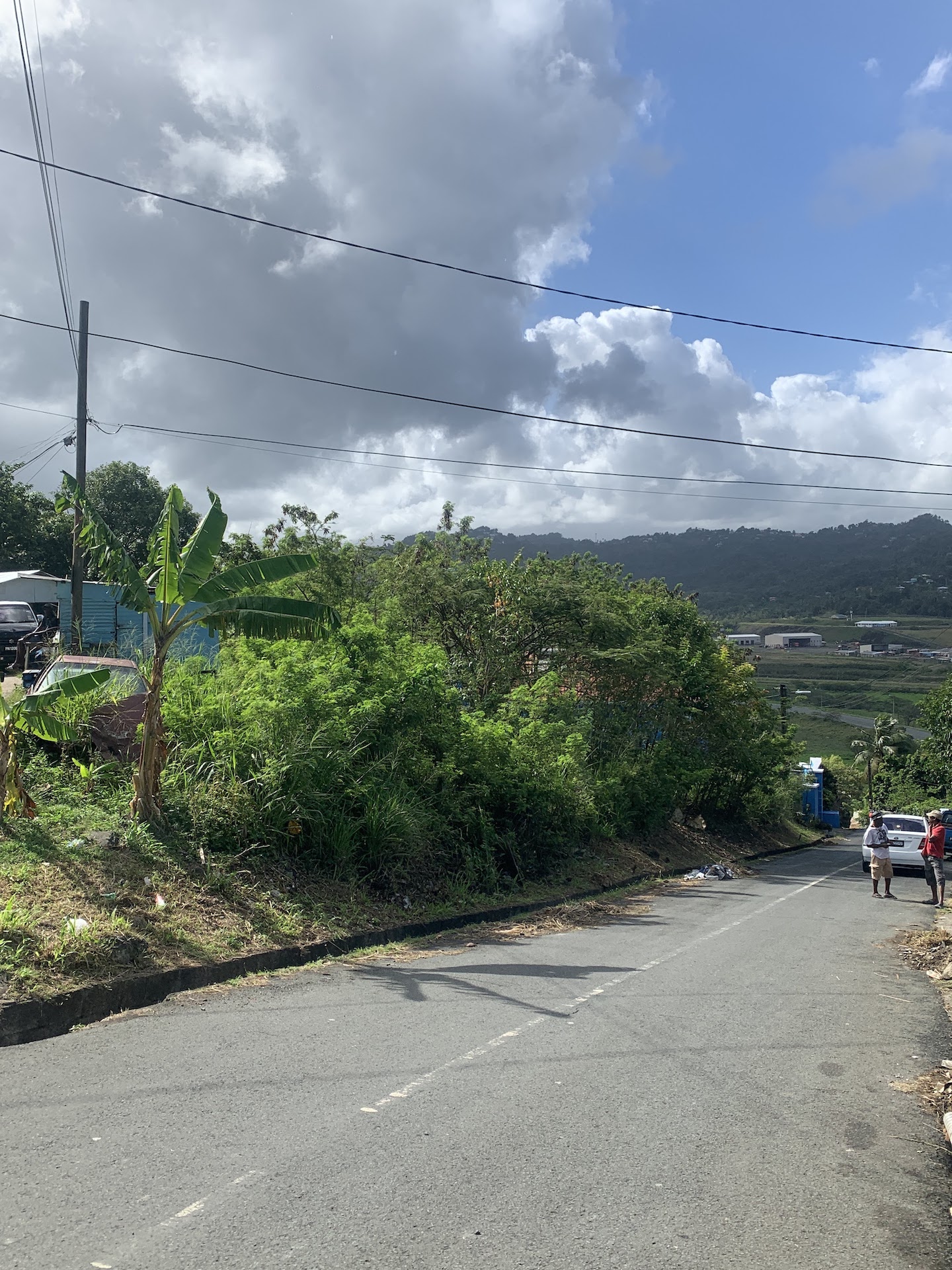 Land for Sale In Ciceron!