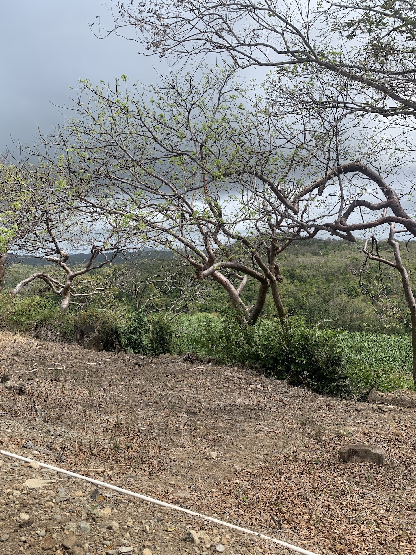 Riverfront Real Estate For Sale In Beauchamp Riverfront Real Estate For Sale In Beauchamp