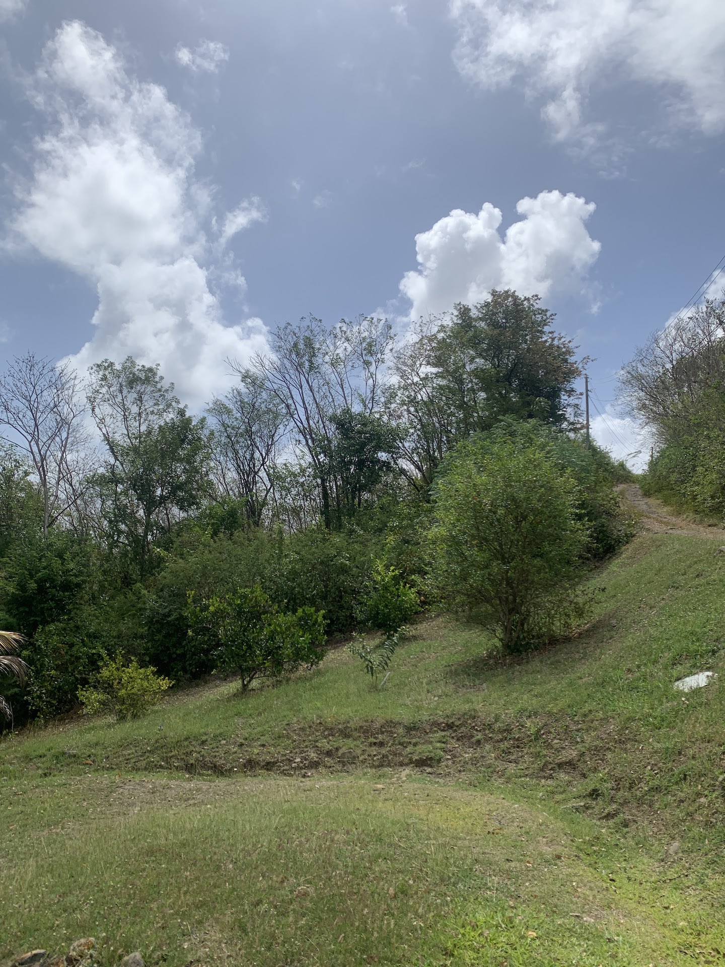 Riverfront Land For Sale In Beauchamp Riverfront Land For Sale In Beauchamp