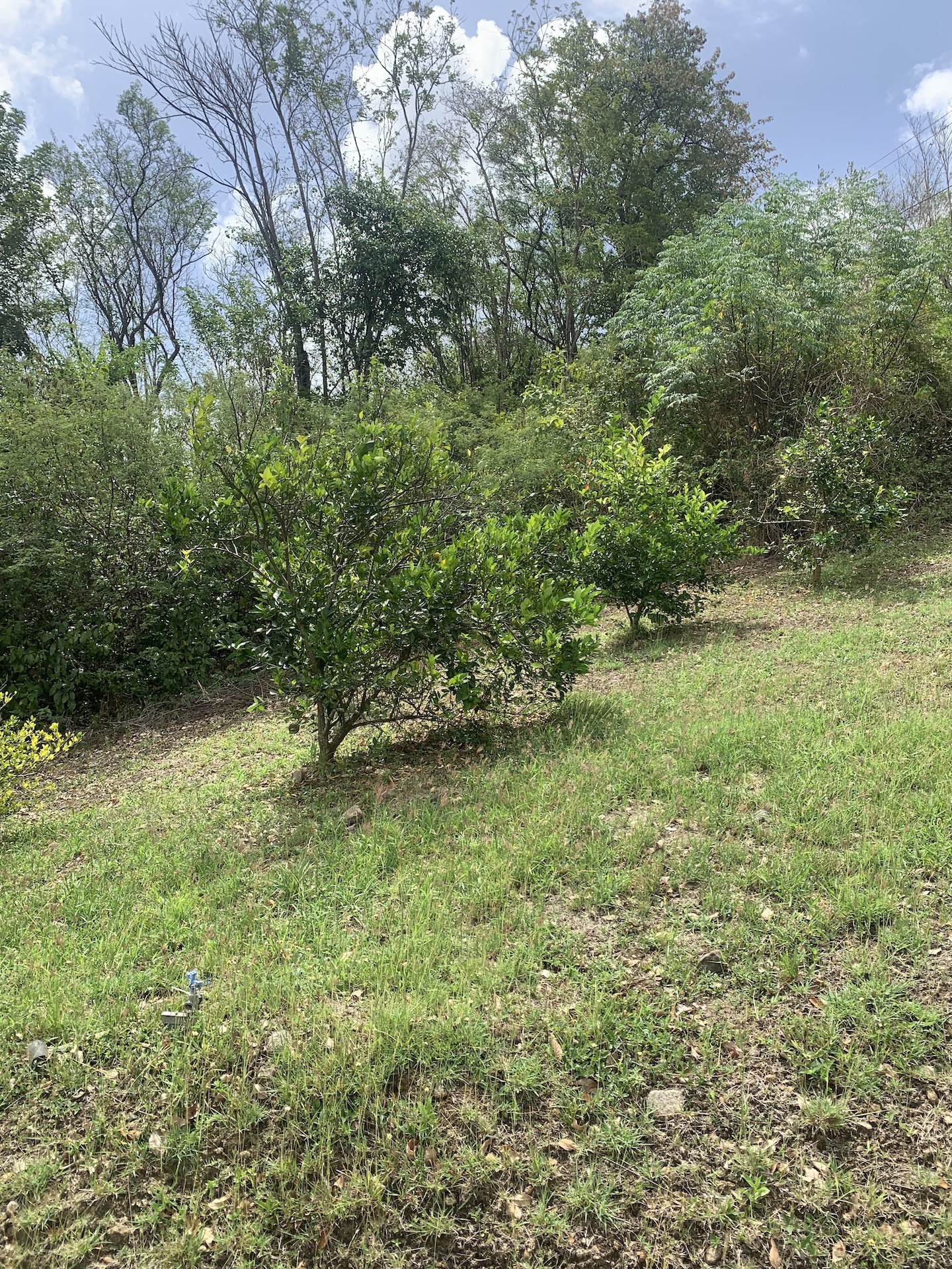 Riverfront Land For Sale In Beauchamp, Saint Lucia Riverfront Land For Sale In Beauchamp, Saint Lucia