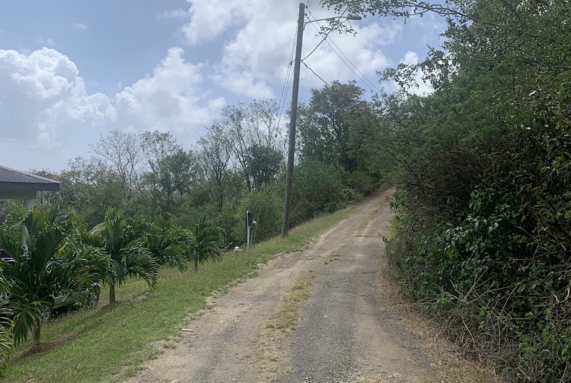 Riverfront Property For Sale In Beauchamp, St. Lucia