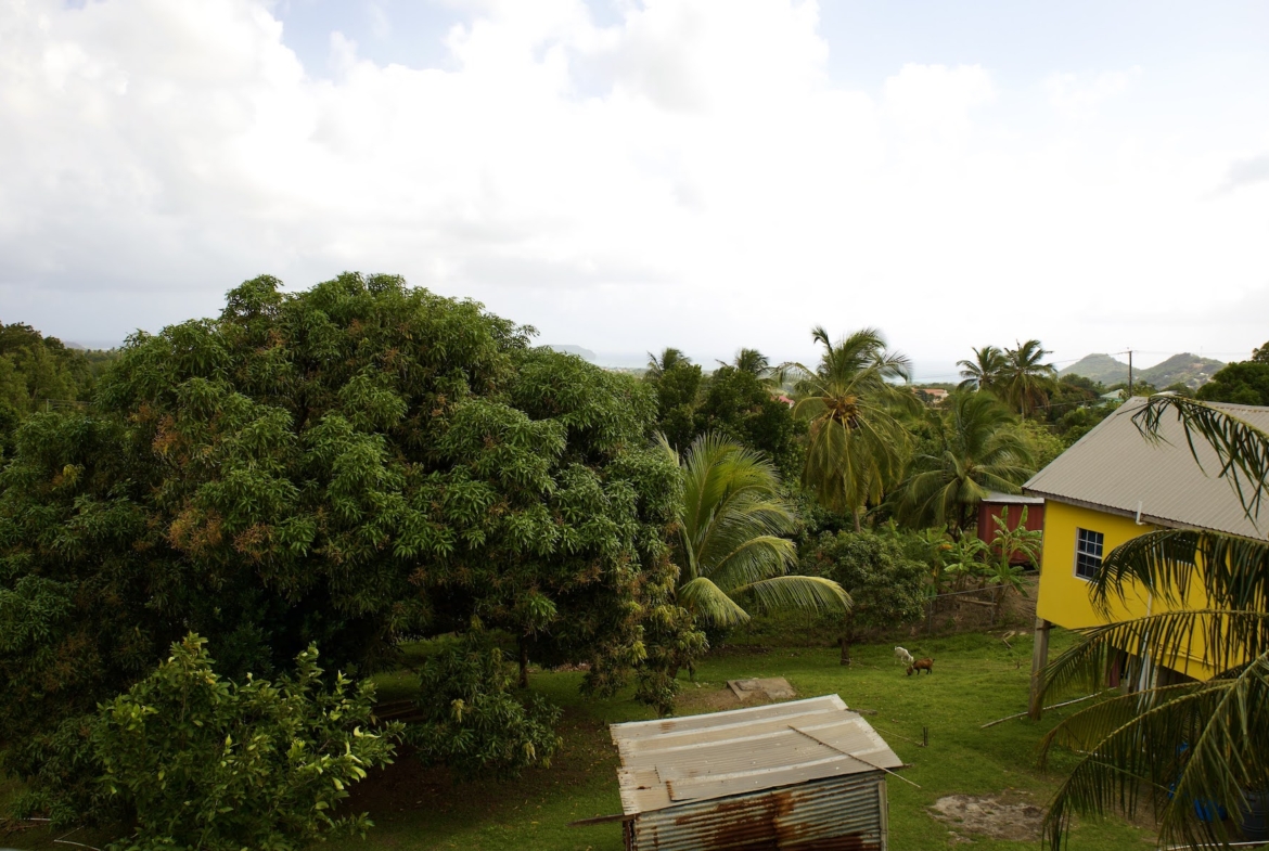 Yard of Home for sale in Herelle Estate, Laborie