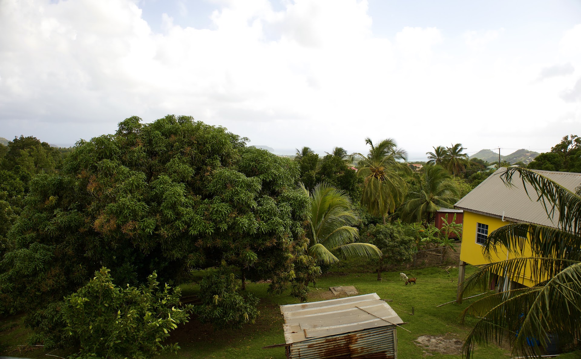 Yard of Home for sale in Herelle Estate, Laborie