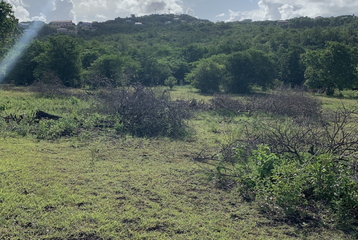 Twin Lots of Land For Sale - Belle Vue, Gros-Islet