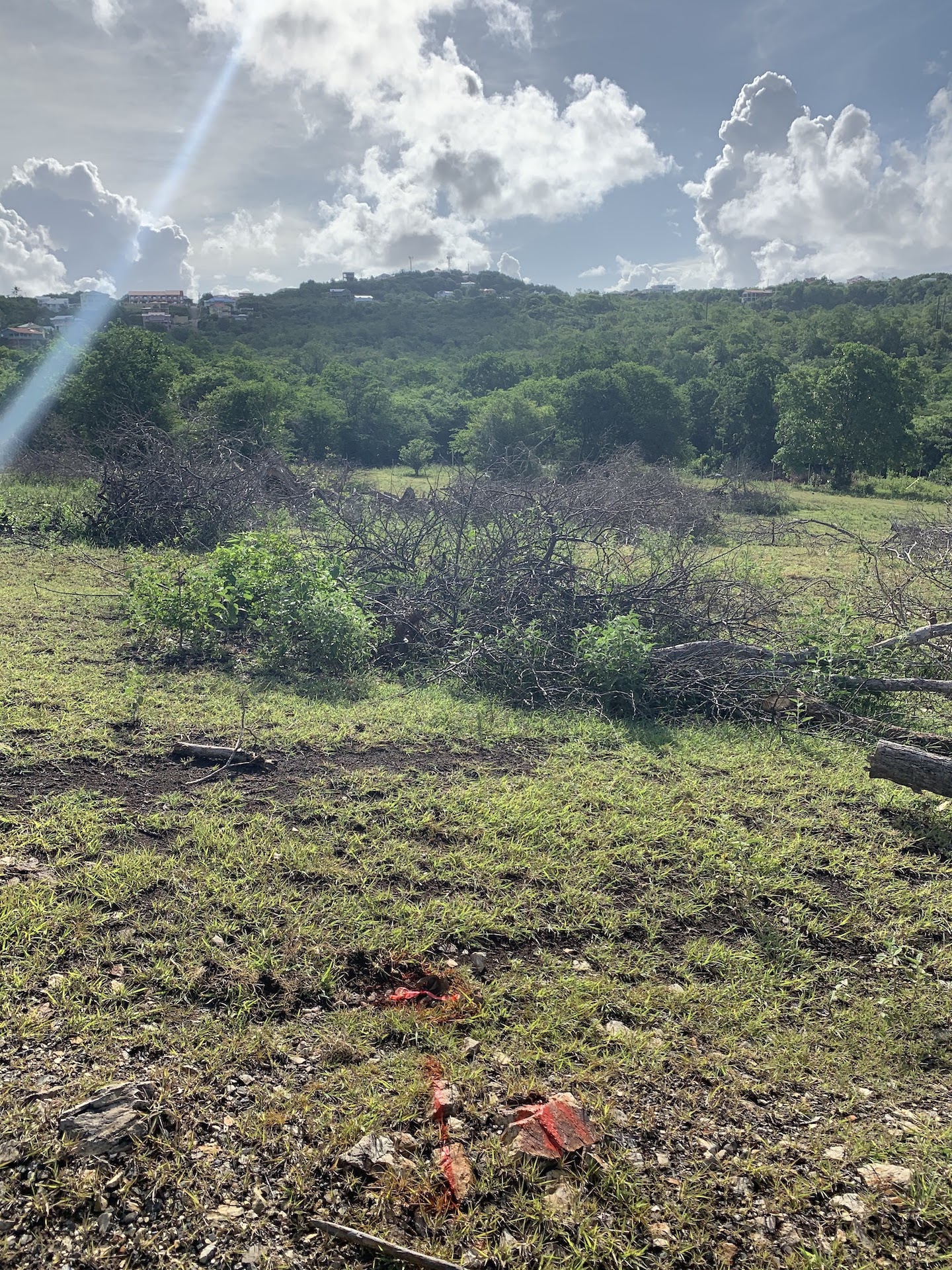 Beautiful Land for Sale in Bellvue -Gros Islet