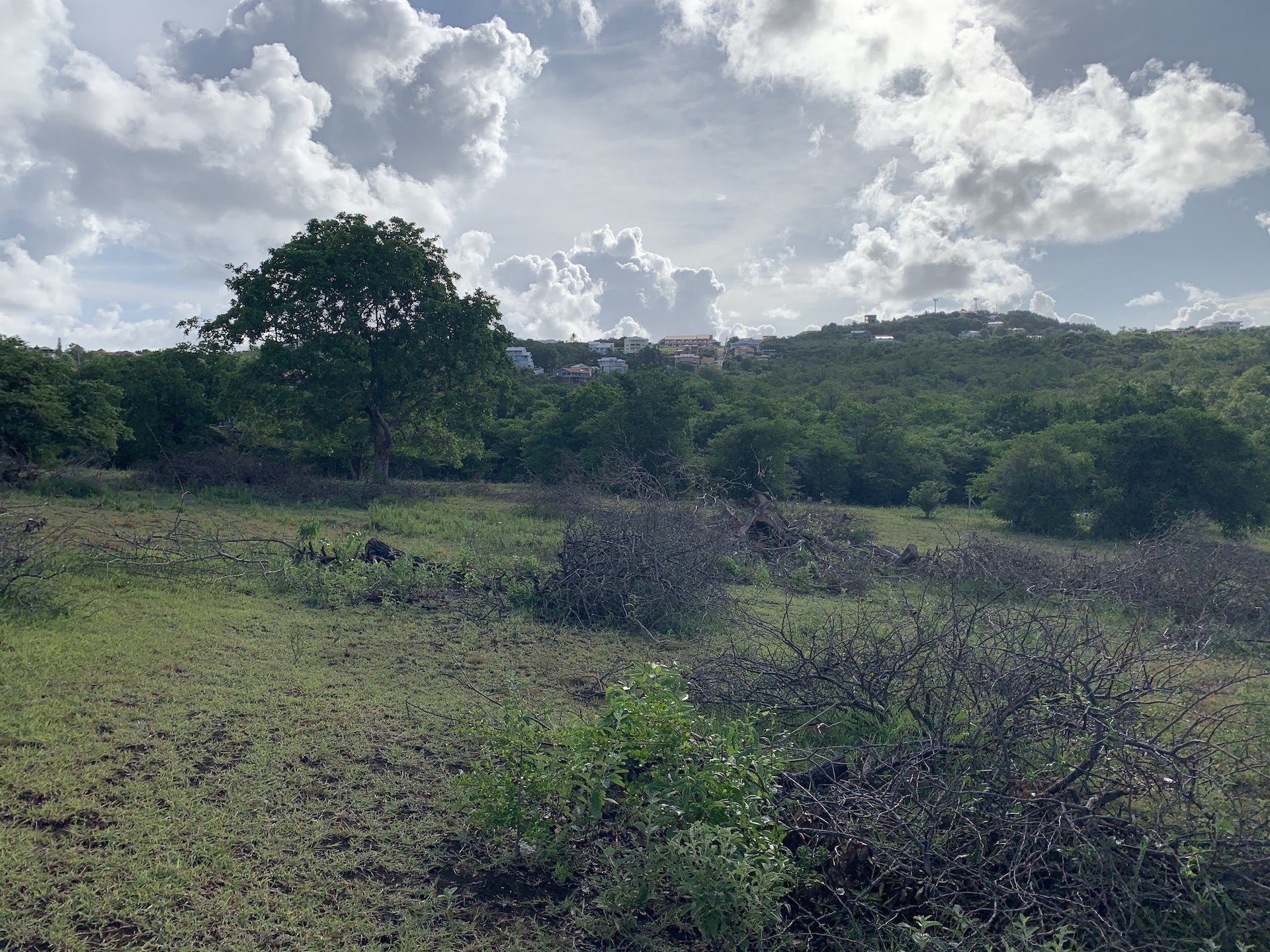 Beautiful Land for Sale in Gros Islet