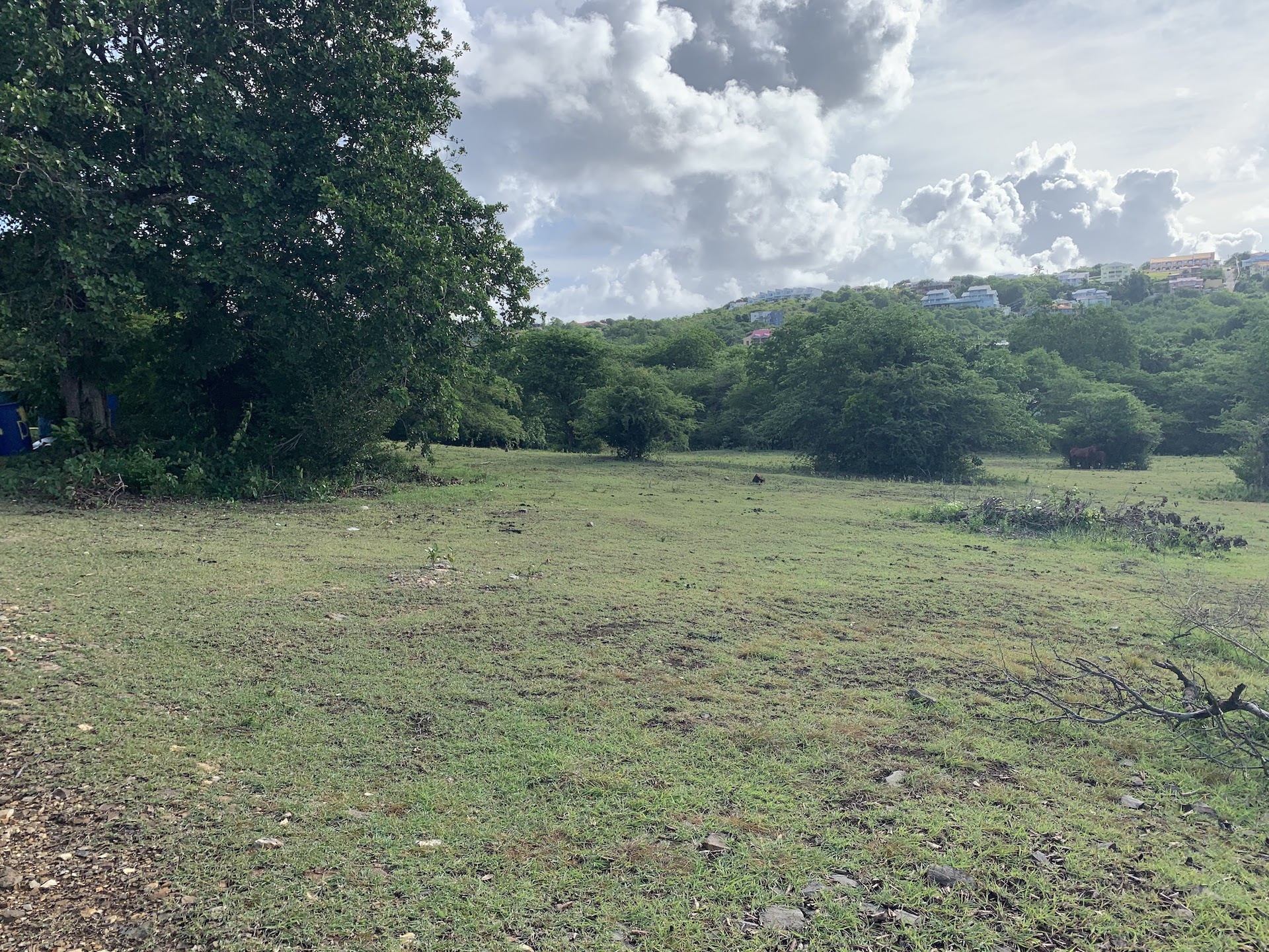 Twin lots For Sale Belle Vue, GrosIslet Saint Lucia Real Estate