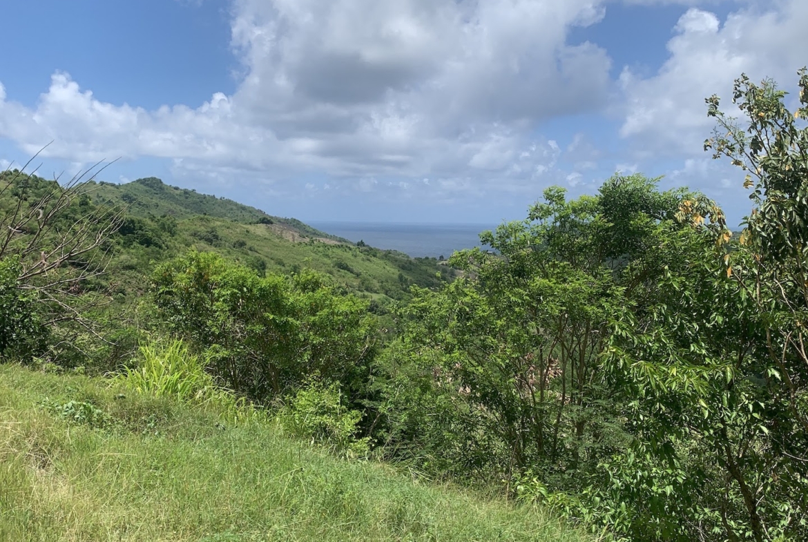 5 Acres Of Land for Sale In La Borne, Gros Islet 8