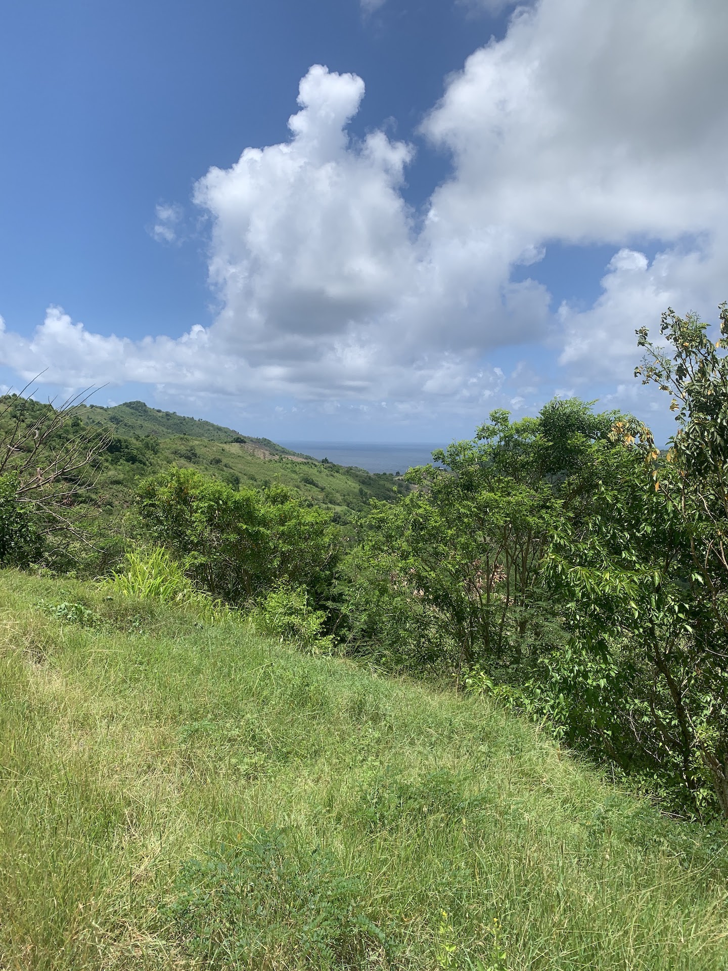 5 Acres Of Land for Sale In La Borne, Gros Islet 8