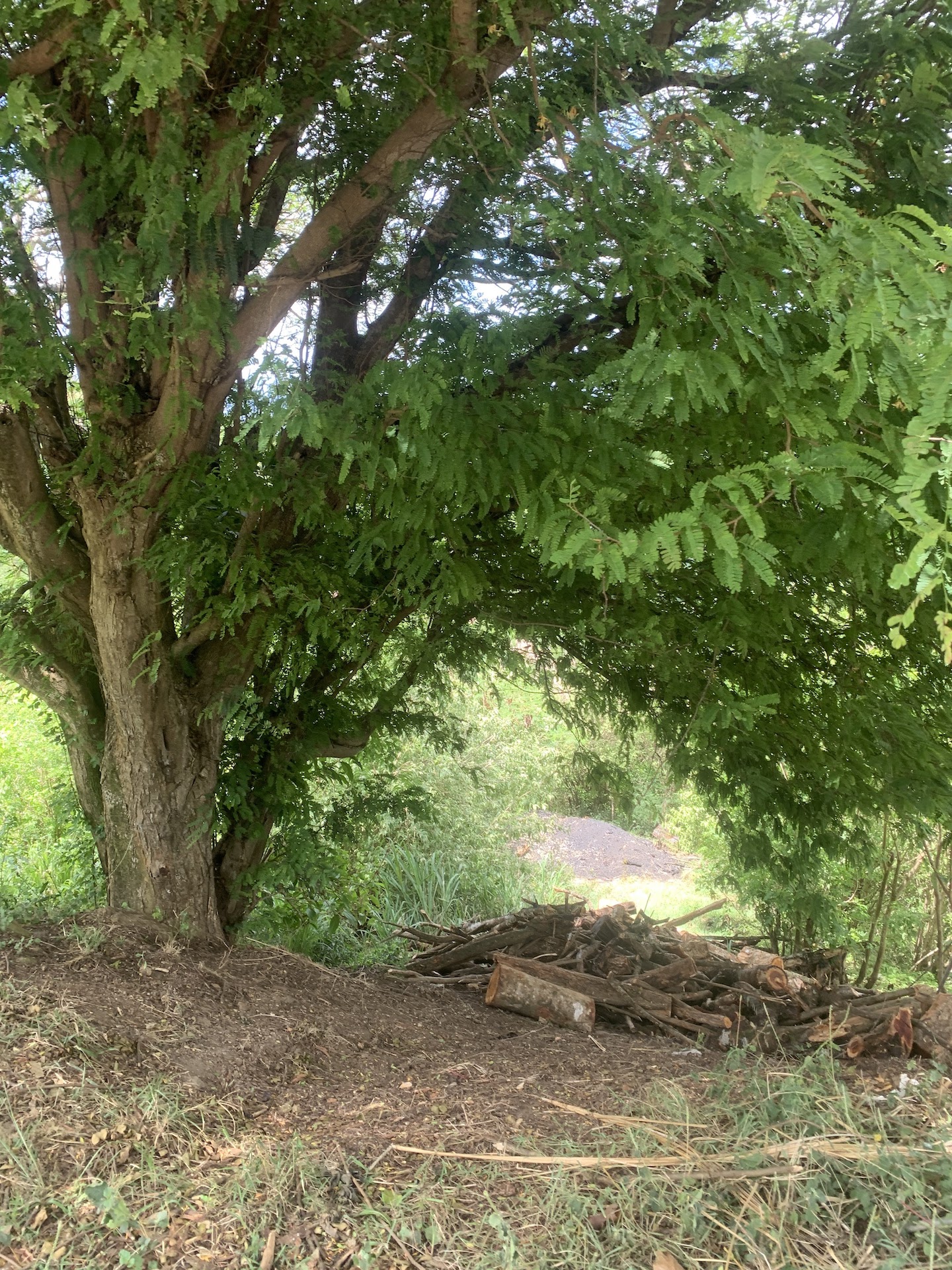 5 Acres Of Land for Sale In La Borne, Gros Islet 7