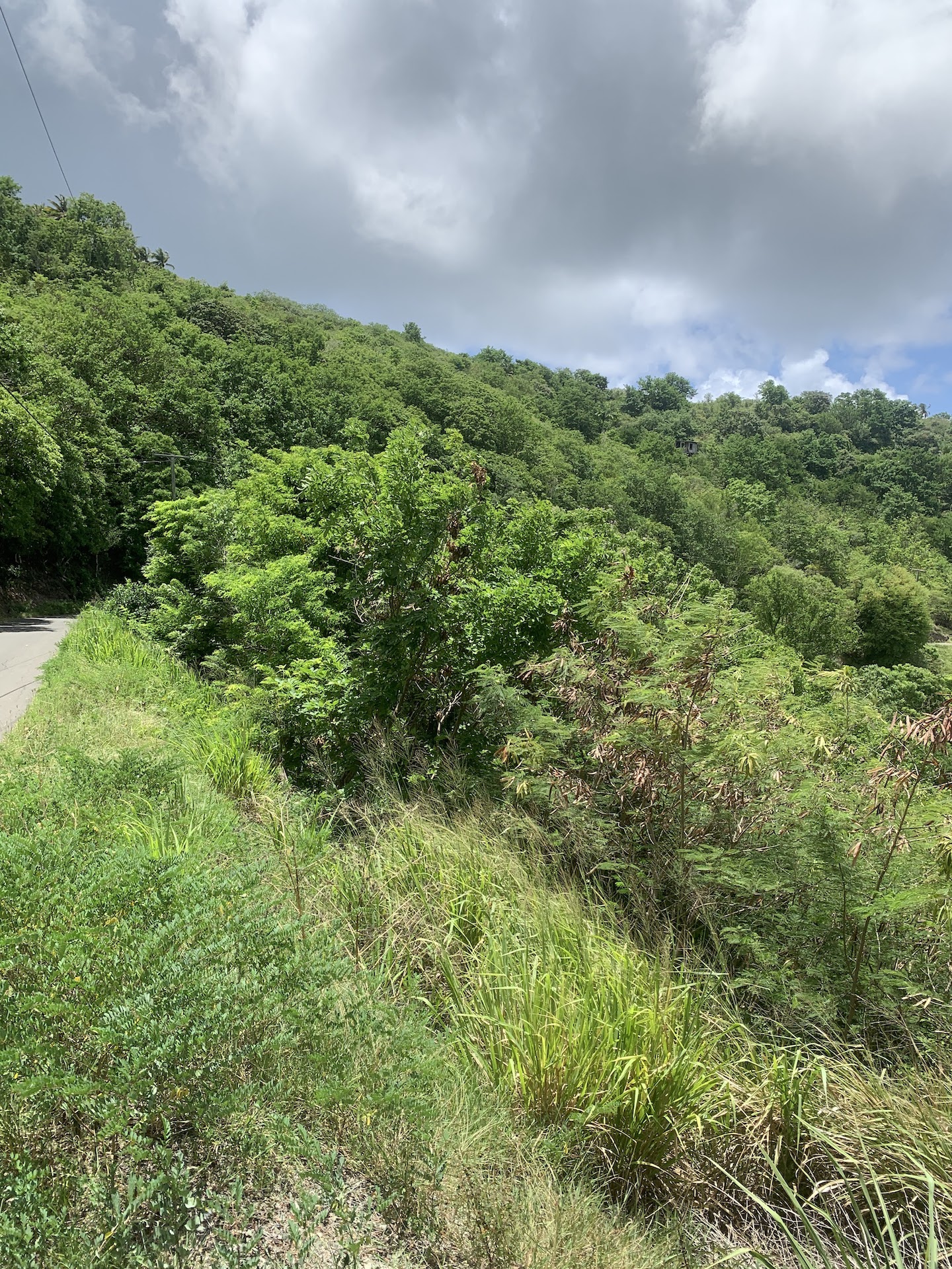 5 Acres Of Land for Sale In La Borne, Gros Islet 6