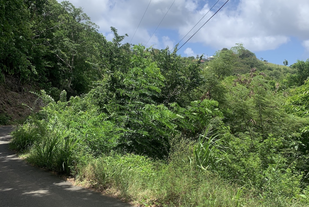 5 Acres Of Land for Sale In La Borne, Gros Islet 5