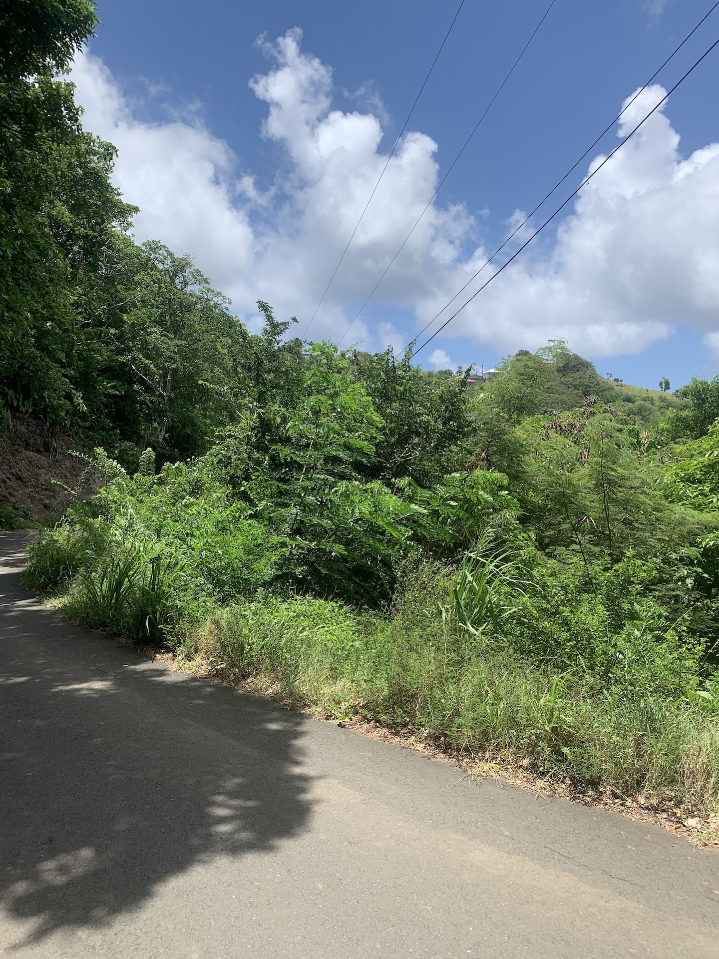 5 Acres Of Land for Sale In La Borne, Gros Islet 5