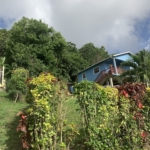 Great Valued Land For Sale In Bois D'Orange