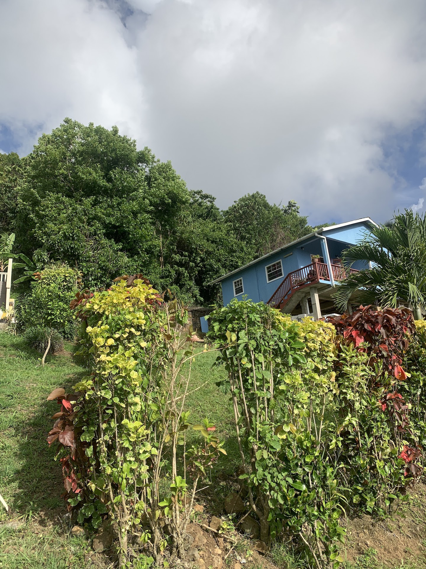 Great Valued Land For Sale In Bois D’Orange Great Valued Land For Sale In Bois D'Orange