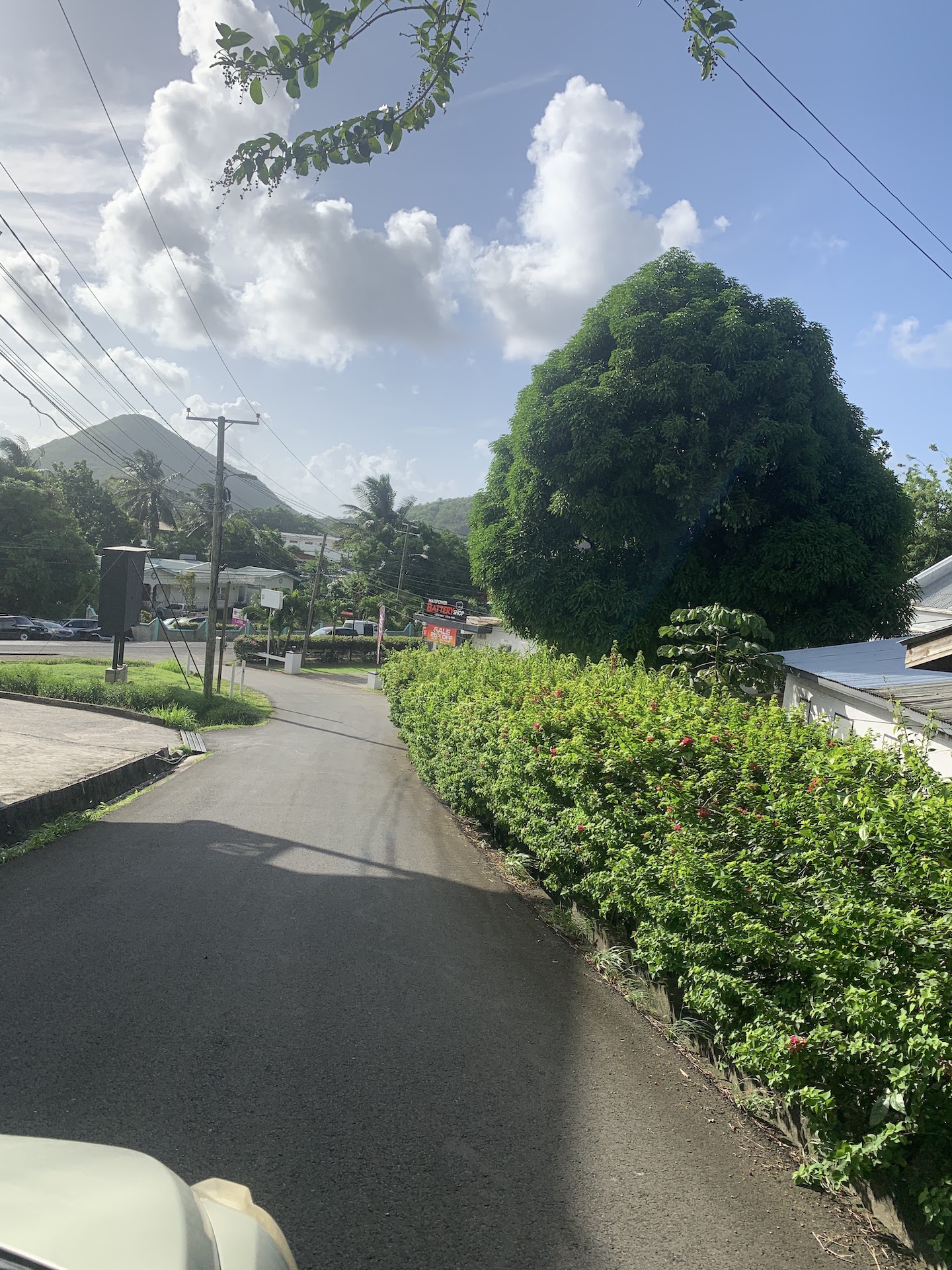 Land For Sale In Bois D’Orange Land For Sale In Bois D'Orange