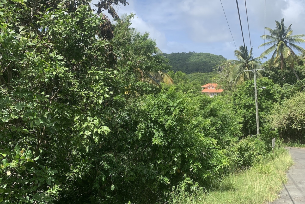Affordable Land For Sale In River Mitant, Saint Lucia