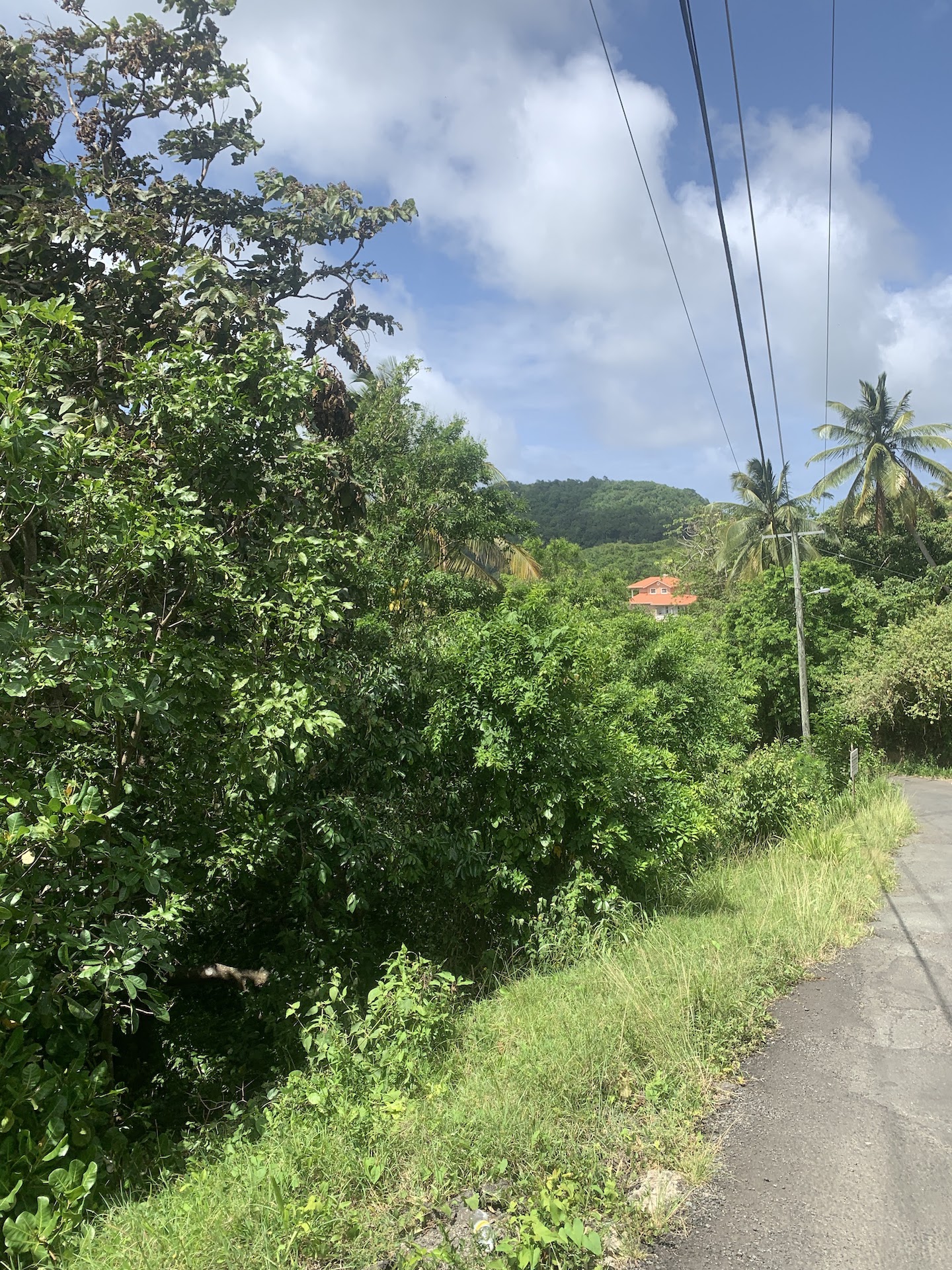 Affordable Land For Sale In River Mitant, Saint Lucia
