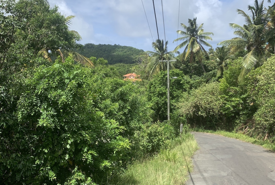Affordable Land For Sale In Dauphin, Saint Lucia