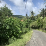 Affordable Land For Sale In Dauphin, Saint Lucia