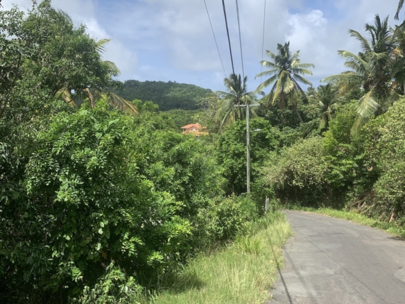 Affordable Land For Sale In Dauphin, Saint Lucia