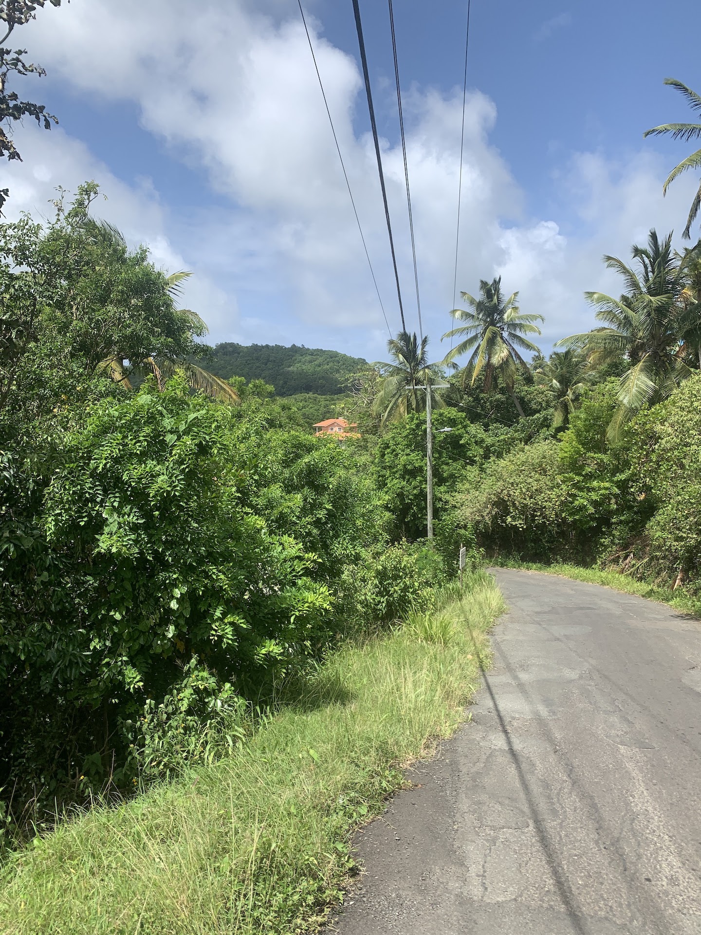 Affordable Land For Sale In Dauphin, Saint Lucia