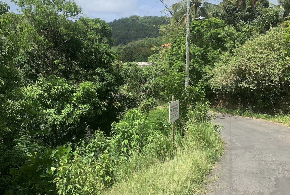 Affordable Land For Sale In River Mitant, St. Lucia
