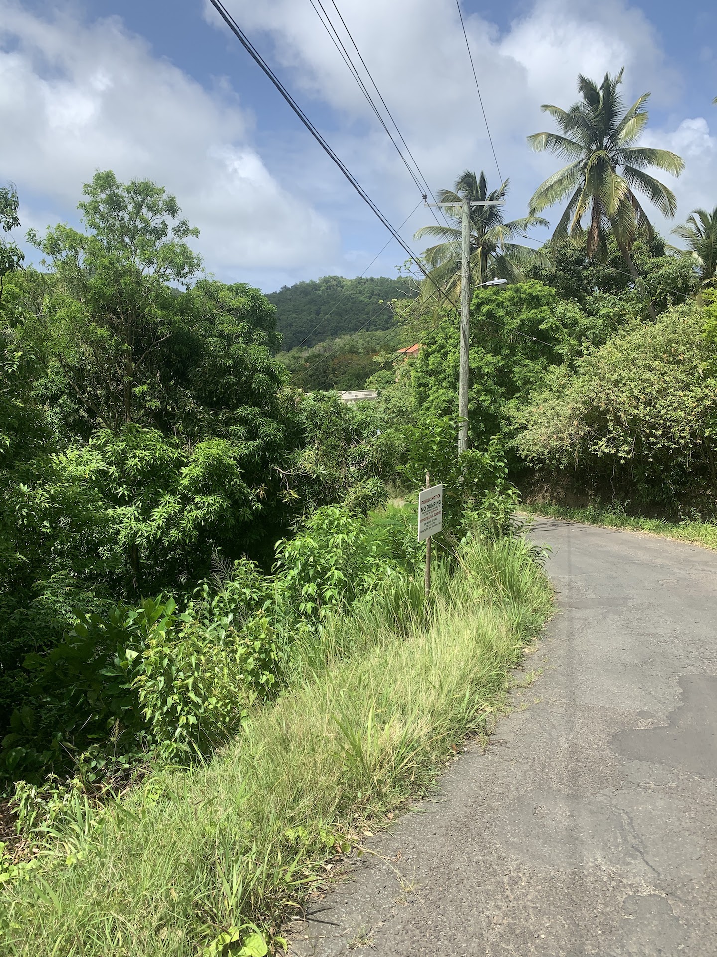 Affordable Land For Sale In River Mitant, St. Lucia