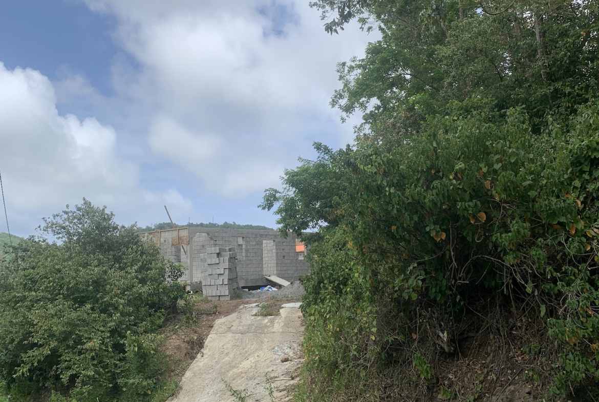 Affordable Land For Sale In River Mitant, Dauphin, St. Lucia