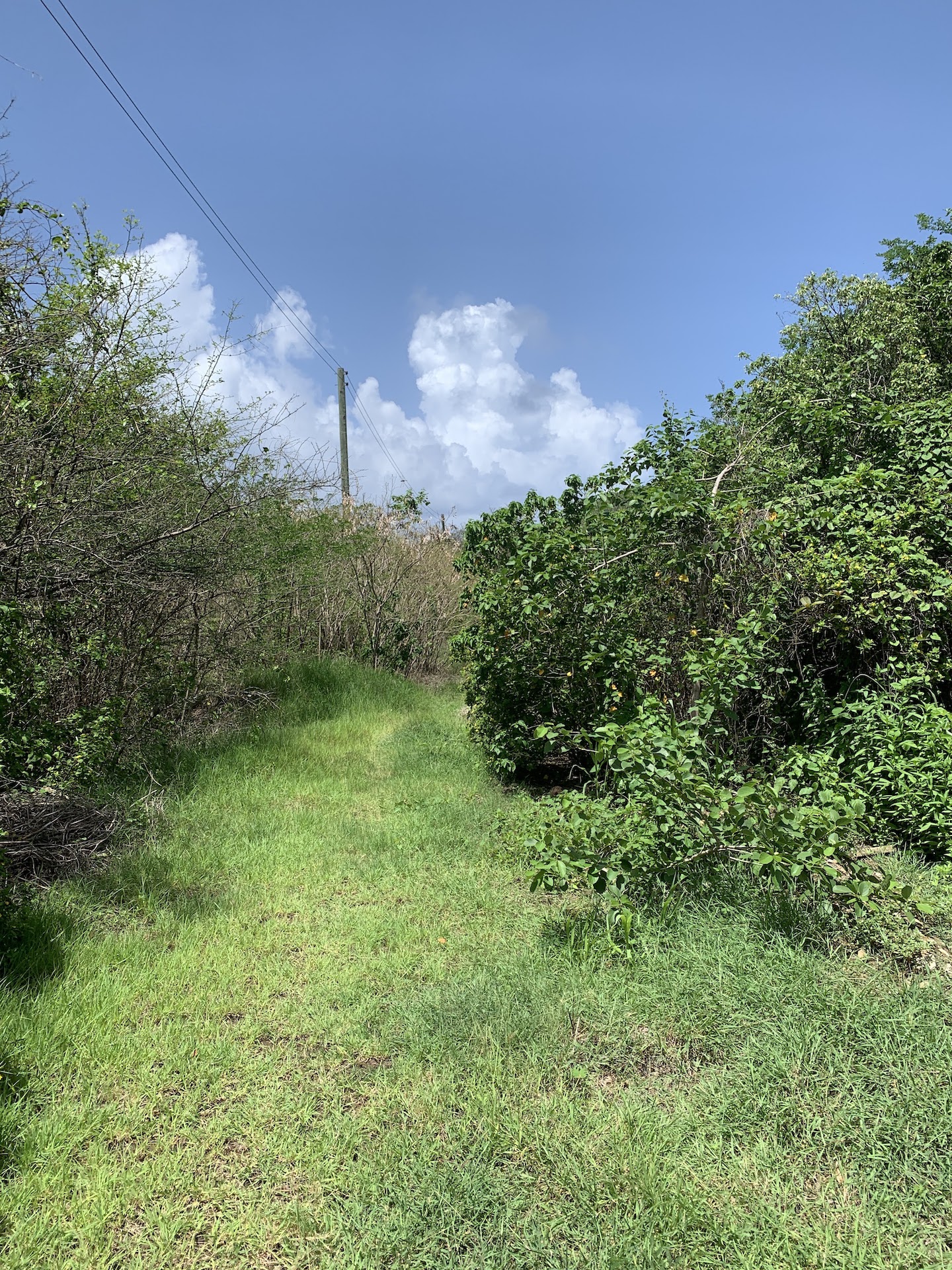 Ocean View Lot For Sale in Cas-en-Bas