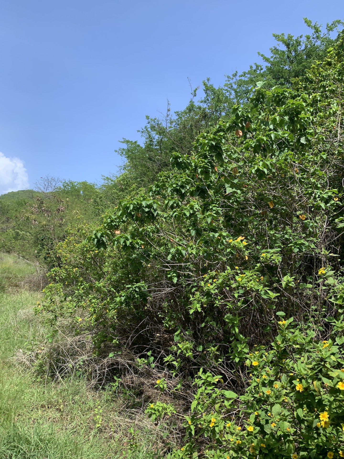 Ocean View Lot For Sale in Gros-Islet