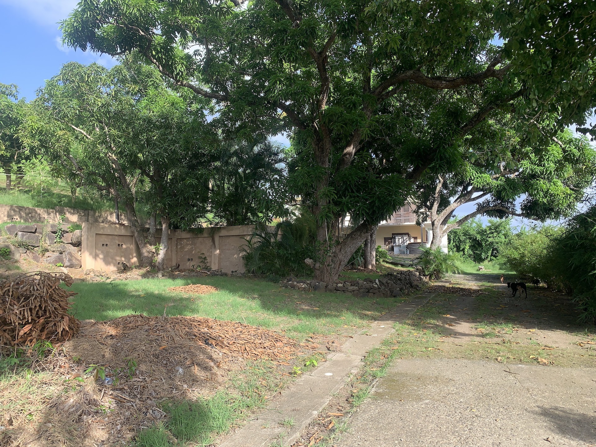 Front of Home and Mixed-Use Land for Sale in Gros Islet