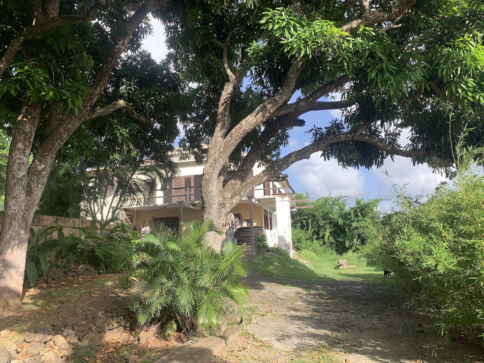 House and 3 Lots for Sale In Gros Islet, St. Lucia Saint Lucia Real