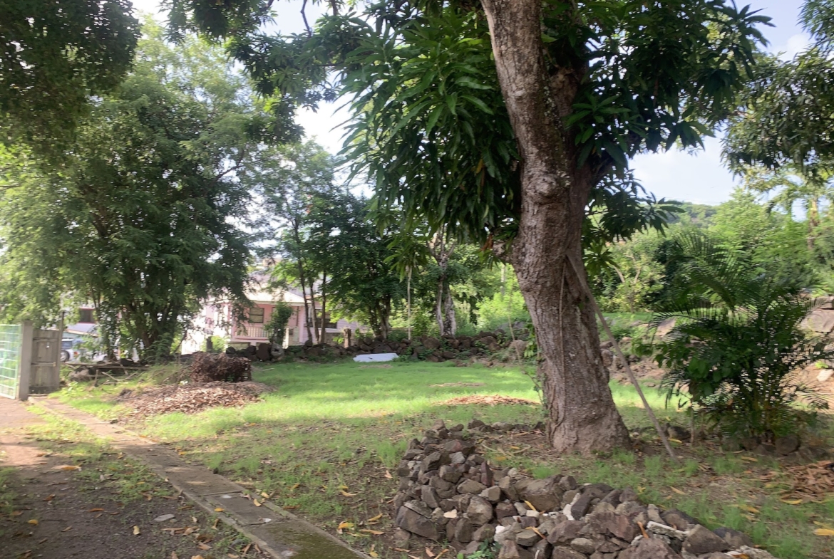 Yard of Home and Mixed-Use Land for Sale in Gros Islet