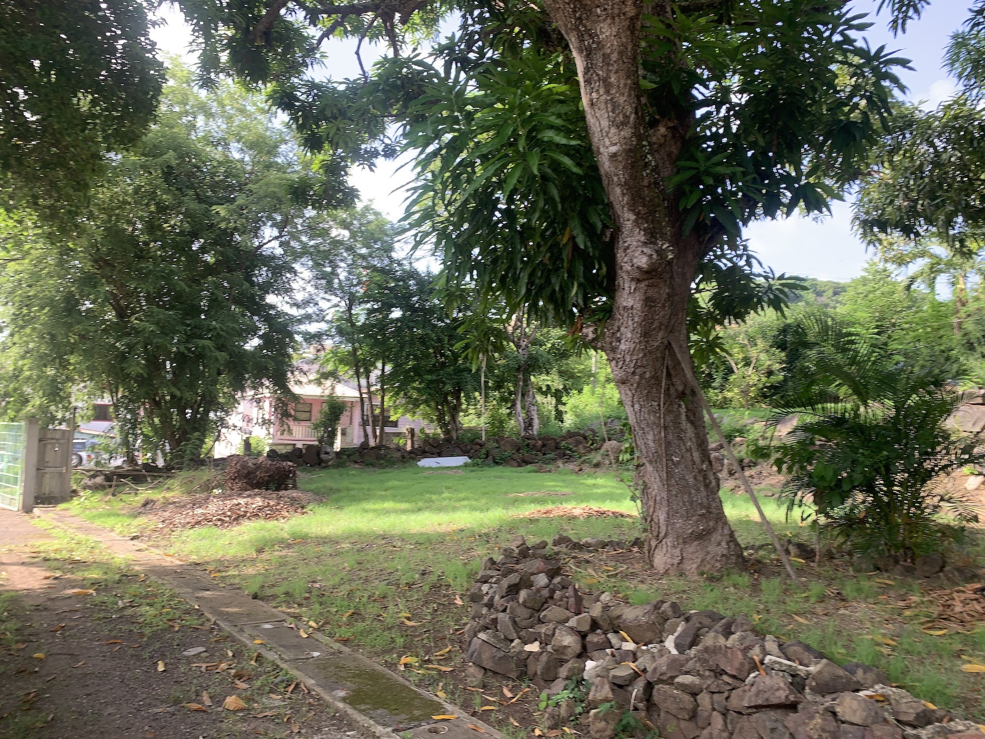 Yard of Home and Mixed-Use Land for Sale in Gros Islet