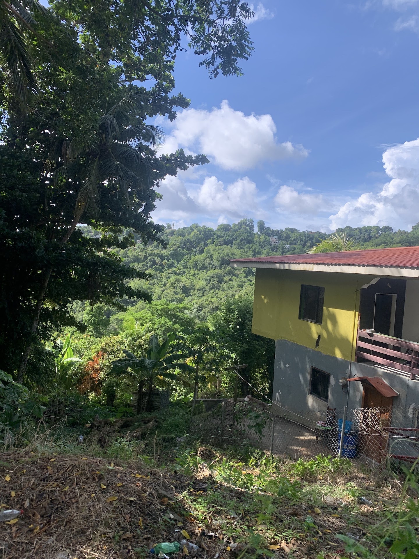 Investment Property For Sale In Bocage, Castries Saint Lucia Real Estate Golden Hour Group