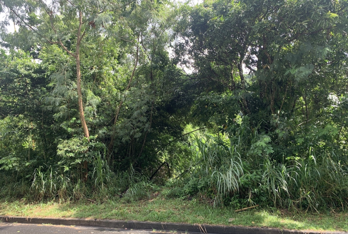 Road Frontage view of 23 Acres of Land for Sale in Soufriere