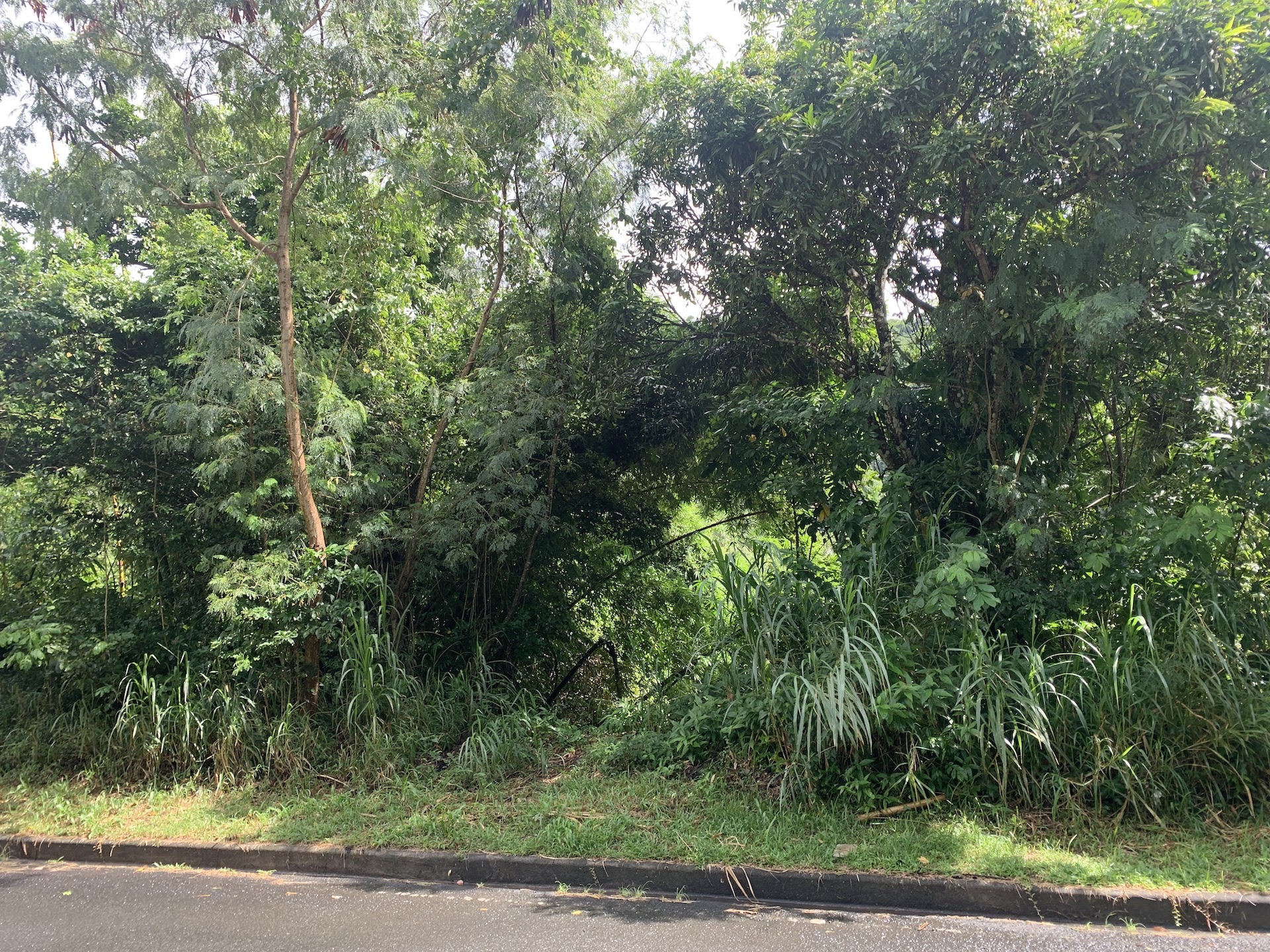 Road Frontage view of 23 Acres of Land for Sale in Soufriere