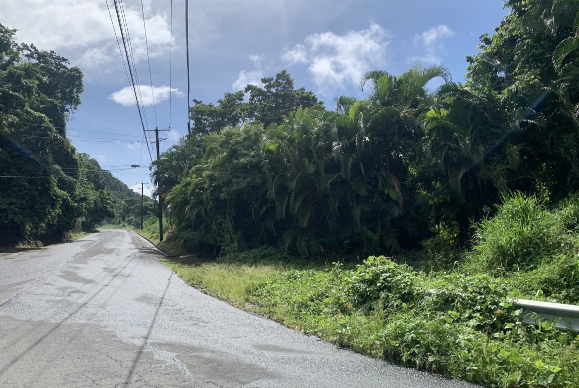 23 Acres of land in Saint Lucia