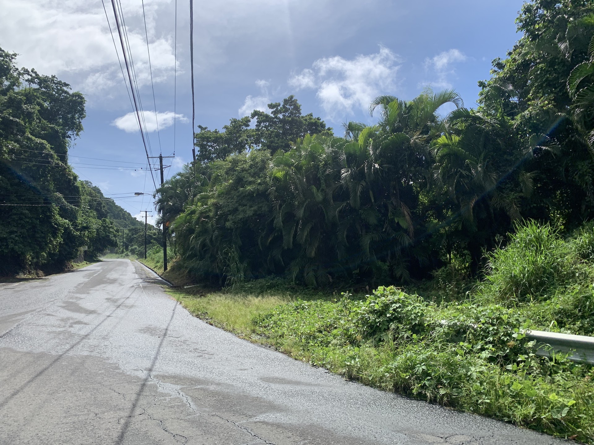 23 Acres of land in Saint Lucia