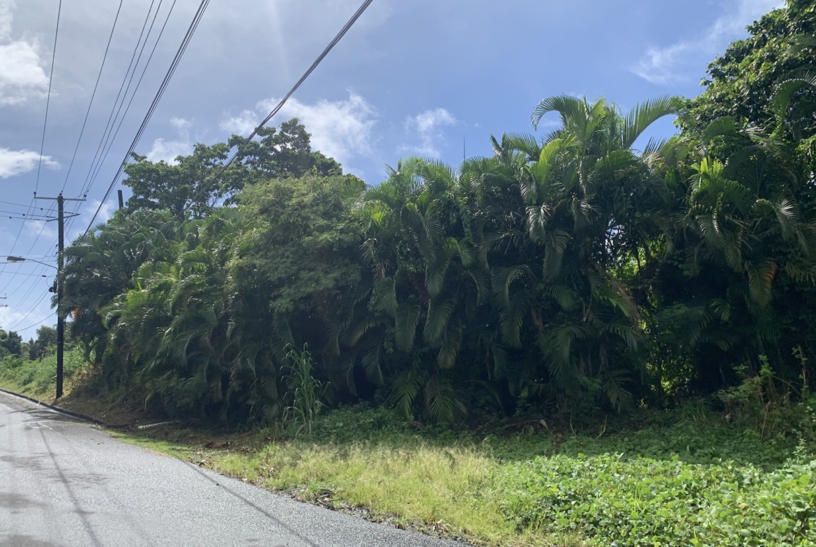 Investment Opportunity - 23 Acres of land in Soufriere Saint Lucia