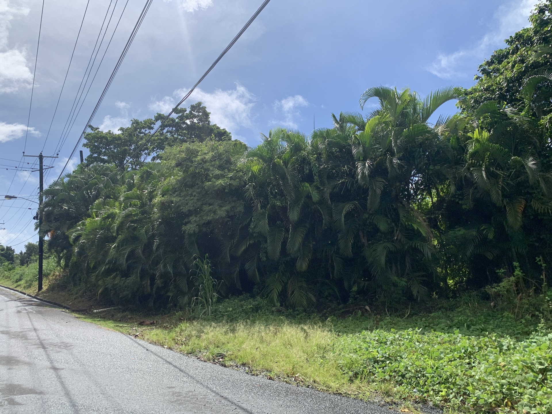 Investment Opportunity - 23 Acres of land in Soufriere Saint Lucia