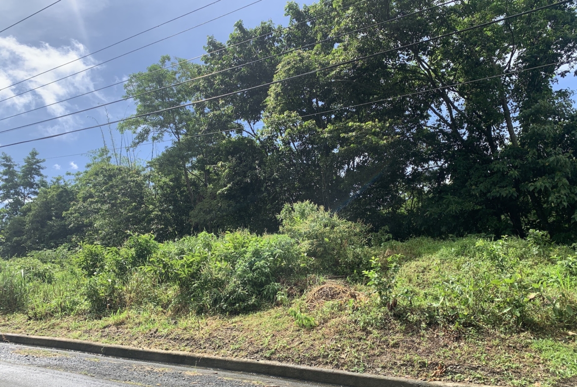 Investment - 23 Acres of land in Soufriere Saint Lucia