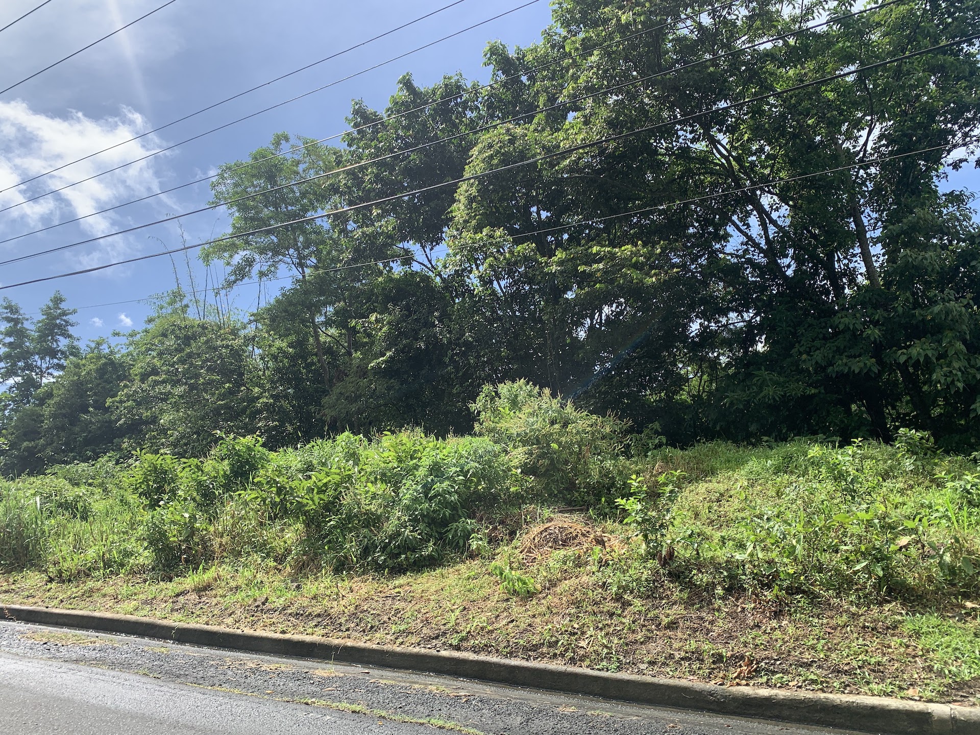 Investment - 23 Acres of land in Soufriere Saint Lucia