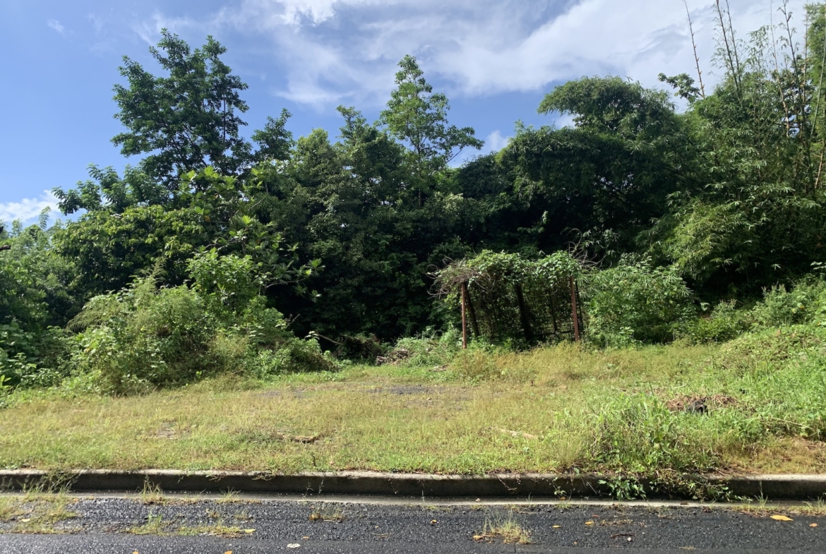 Investment - 23 Acres of land in Saint Lucia